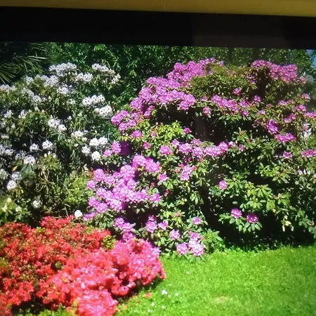 La Ranocchia Bed & Breakfast 2*